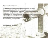 01_wissenswertes